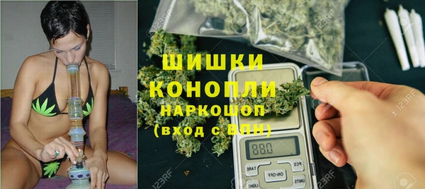 стаф Осташков