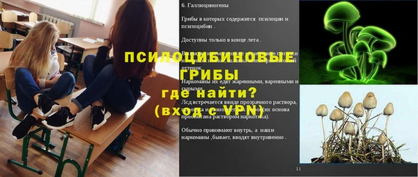 MESCALINE Няндома